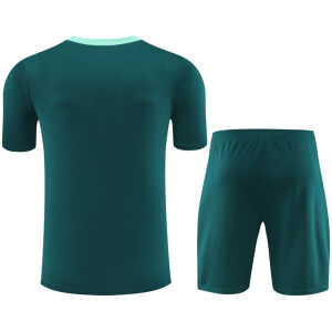 Mens Tottenham Hotspur Short Training Suit Green 2024/25