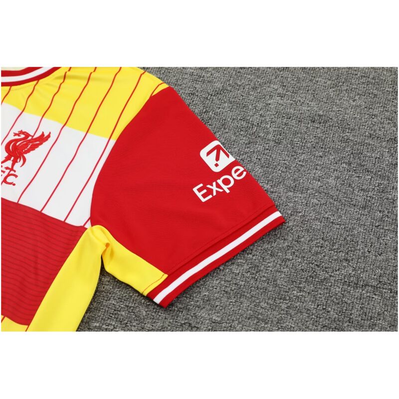 Mens Liverpool Short Training Suit Yellow 2024/25