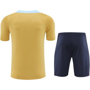 Mens France Short Training Suit Gold 2024