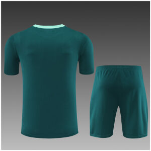 Kids Tottenham Hotspur Short Training Suit Green 2024/25