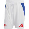 Mens Arsenal Home Shorts 2024/25