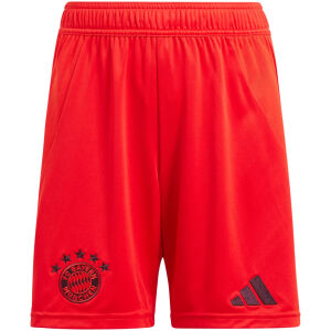 Mens Bayern Munich Home Shorts 2024/25