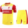 Mens Liverpool Short Training Suit Yellow 2024/25