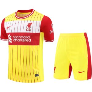 Mens Liverpool Short Training Suit Yellow 2024/25