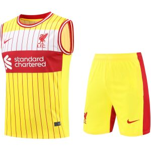 Mens Liverpool Singlet Suit Yellow 2024/25