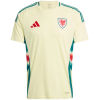 Mens Real Madrid Away Jersey 2024/25