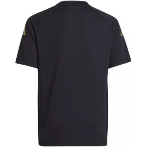 Mens Argentina Short Training Black Jersey 2024