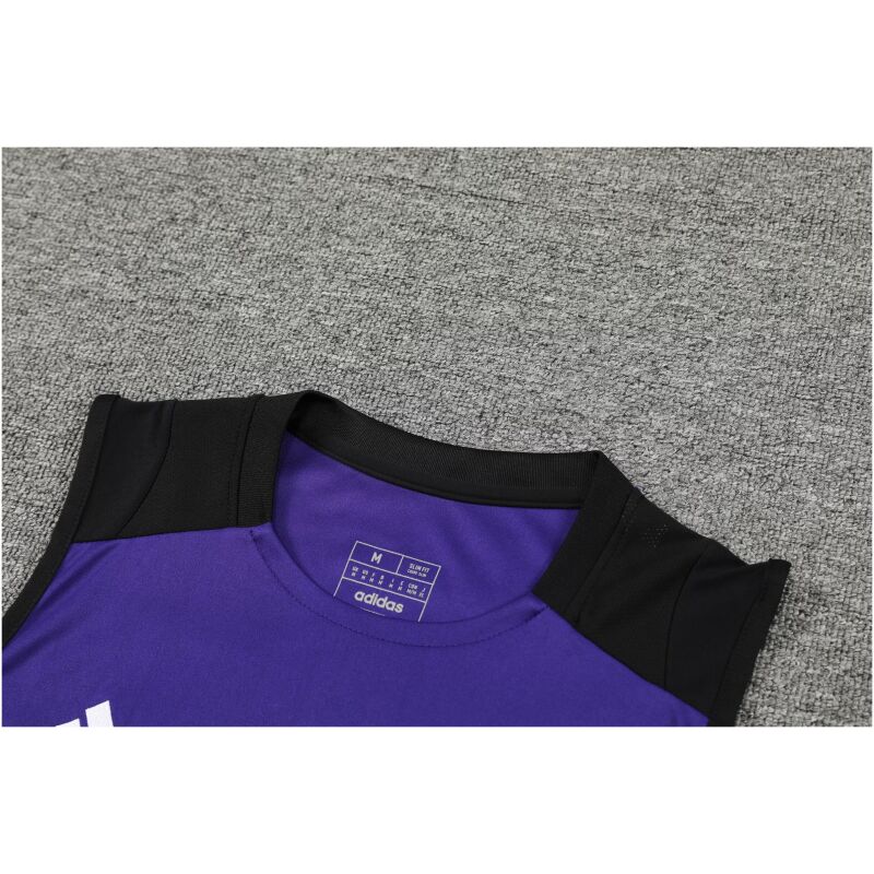 Mens Germany Short Training Suit Purple 2024