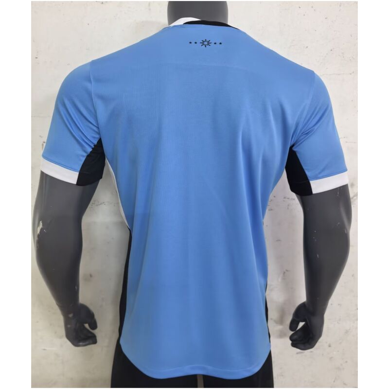 Herren Uruguay Heim Trikot 2024