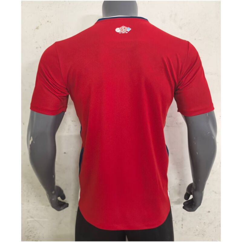 Mens Lille Olympique Home Jersey 2024/25