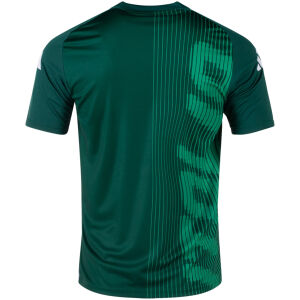 Mens Italy Pre-Match Short Training Jersey Green 2024