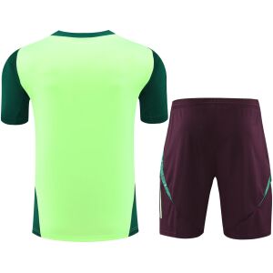 Mens Mexico Short Training Suit Yellow 2024