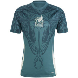 Mens Mexico Short Training Grey Jersey 2024