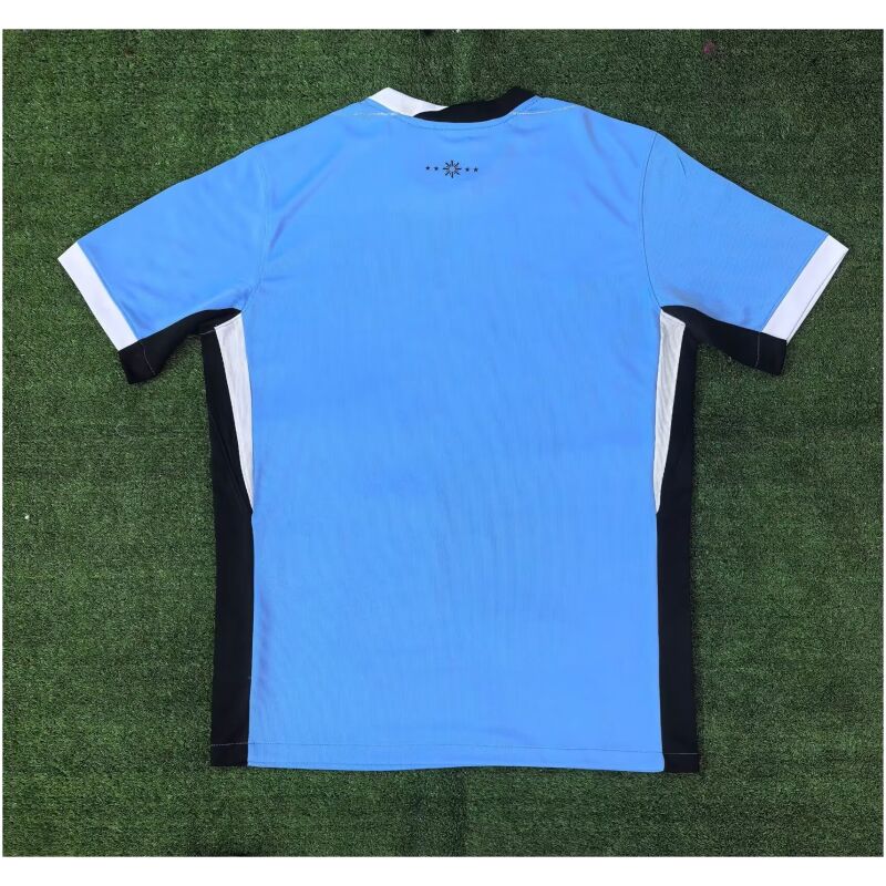 Herren Uruguay Heim Trikot 2024