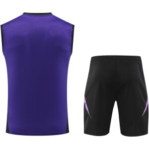 Mens Germany Short Training Suit Purple 2024