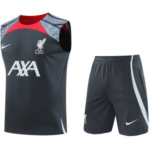 Mens Liverpool Singlet Suit Grey 2024/25