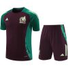Mens Mexico Short Training Suit Burgundy 2024