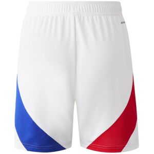 Mens Olympique Lyonnais Home Shorts 2024/25