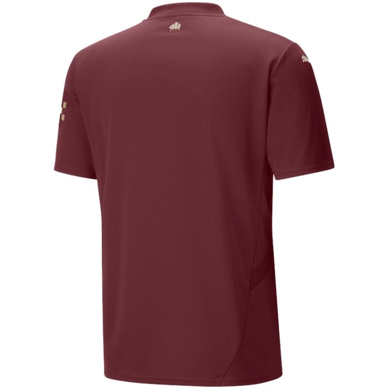 Männer Manchester City Drittes Trikot 2024/25