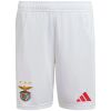 Mens Benfica Home Shorts 2024/25