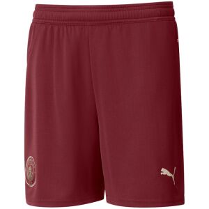 Mens Manchester City Third Shorts 2024/25