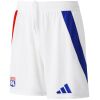 Mens Olympique Lyonnais Home Shorts 2024/25