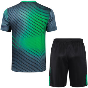 Mens Nigeria Short Training Suit Green 2024