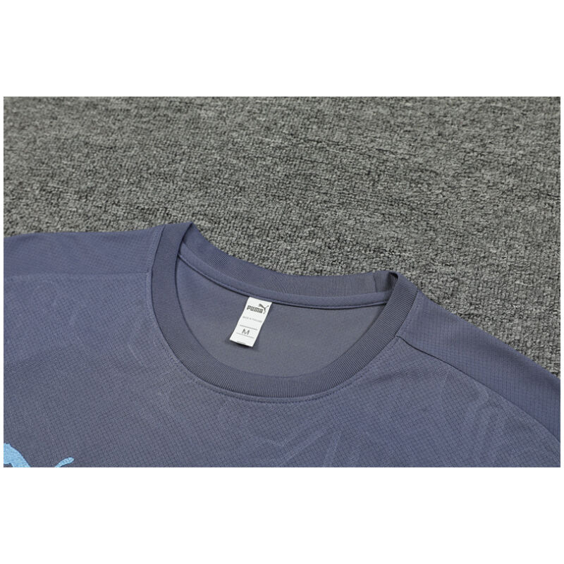 Mens Manchester City Short Training Suit Grey 2024/25