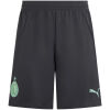 Mens AC Milan Third Shorts 2024/25