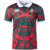 Mens Mexico Special Red Jersey 2024/25