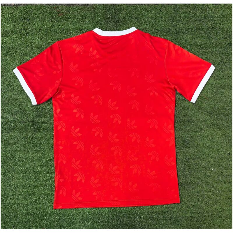 Mens Bayern Munich Special Red Jersey 2024/25