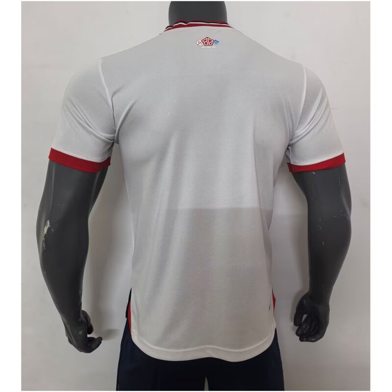 Mens Lille Olympique 80th Anniversary Jersey 2024/25