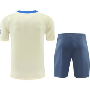 Mens Inter Milan Short Training Suit Yellow 2024/25
