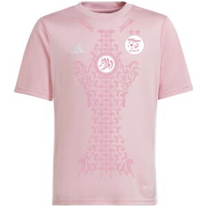 Mens Algeria Pink Jersey 2024