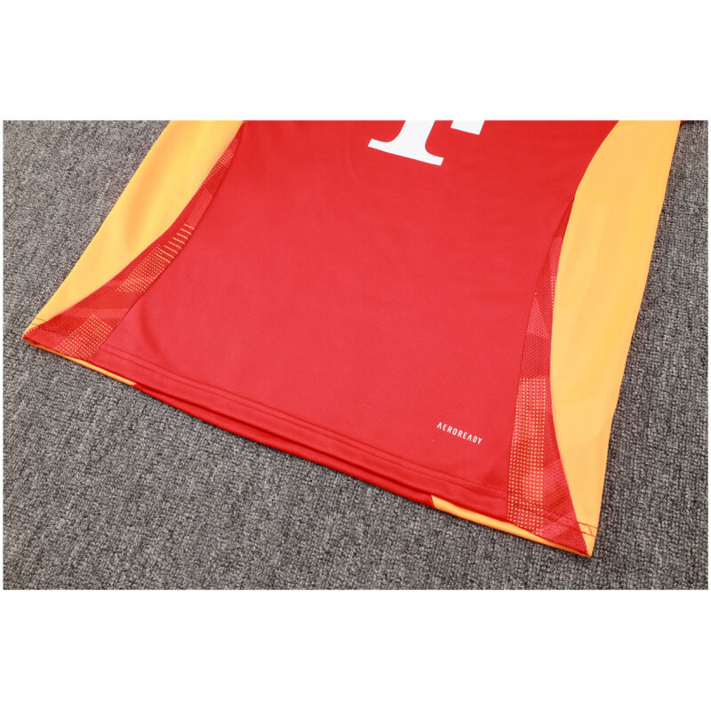 Mens Bayern Munich Training Suit Red 2024/25