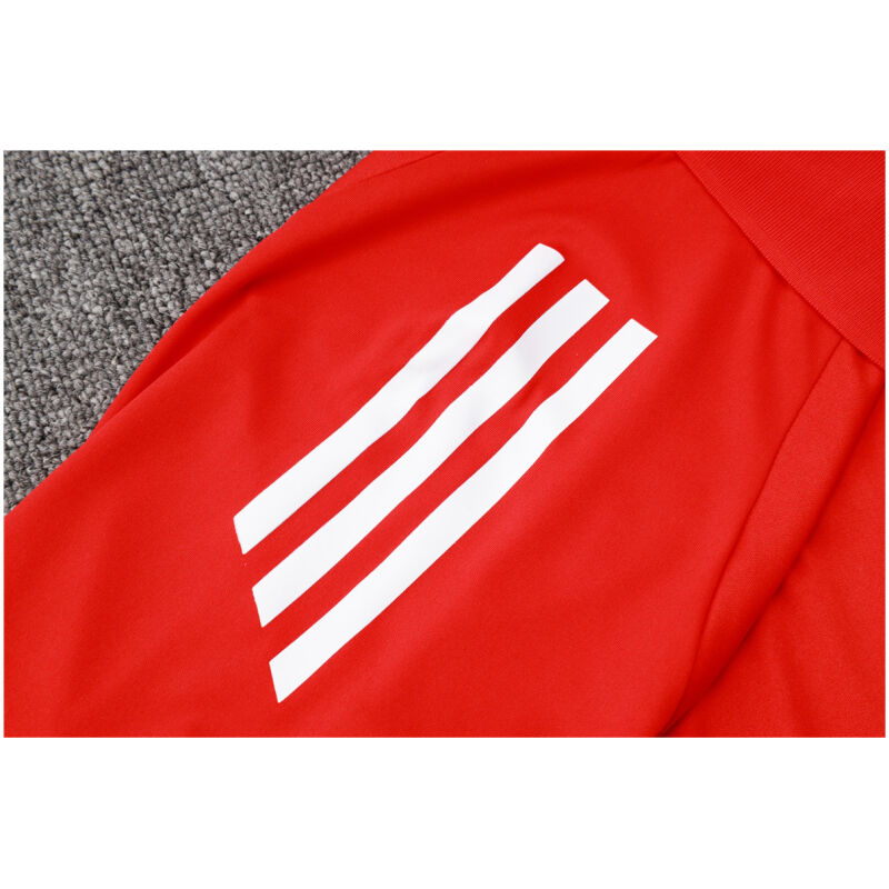 Mens Manchester United Polo Shirt Red 2024/25