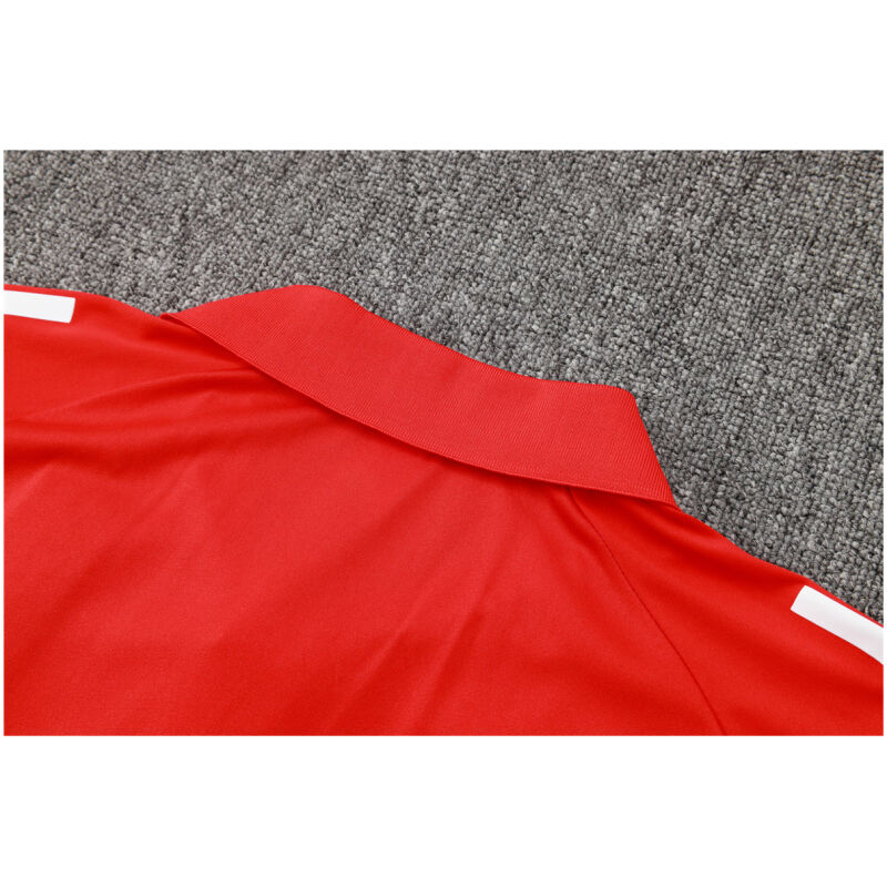 Mens Manchester United Polo Shirt Red 2024/25