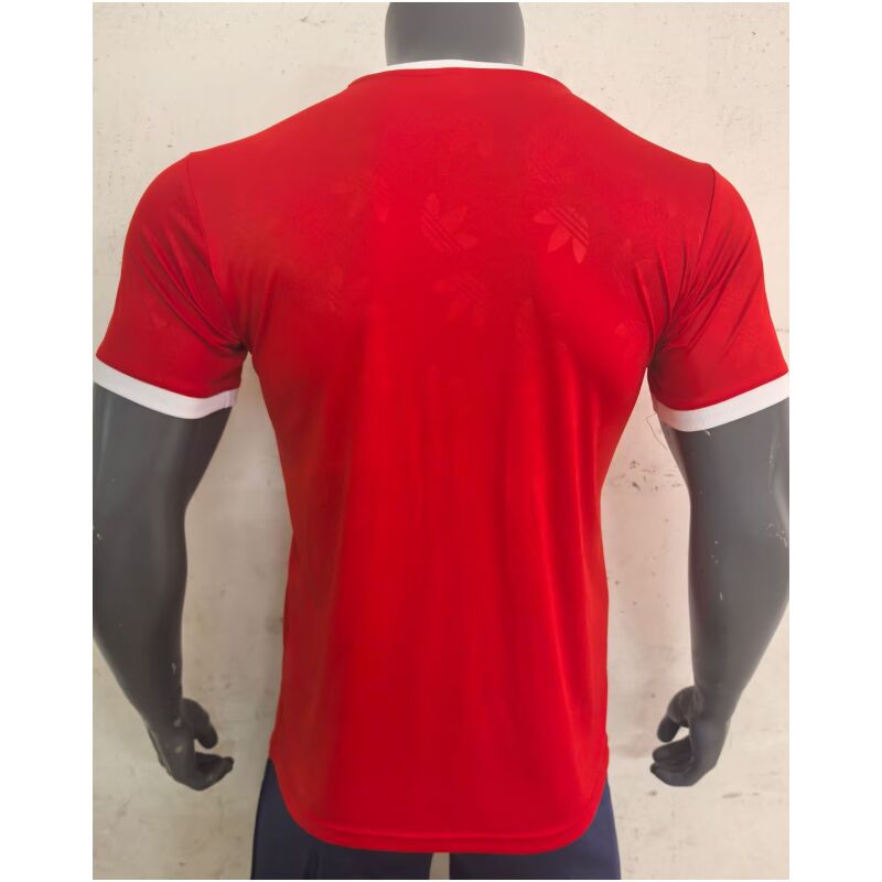 Mens Bayern Munich Special Red Jersey 2024/25