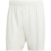 Mens Colombia 100th Anniversary Shorts 2024