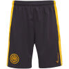 Mens Inter Milan Third Shorts 2024/25
