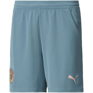 Mens Manchester City Fourth Shorts 2024/25
