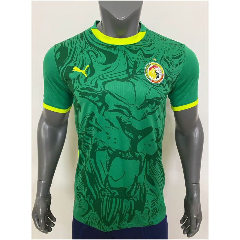 Mens Senegal Away Jersey 2025