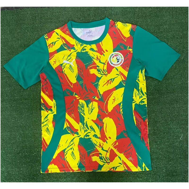 Mens Senegal Pre-Match Green Jersey 2025