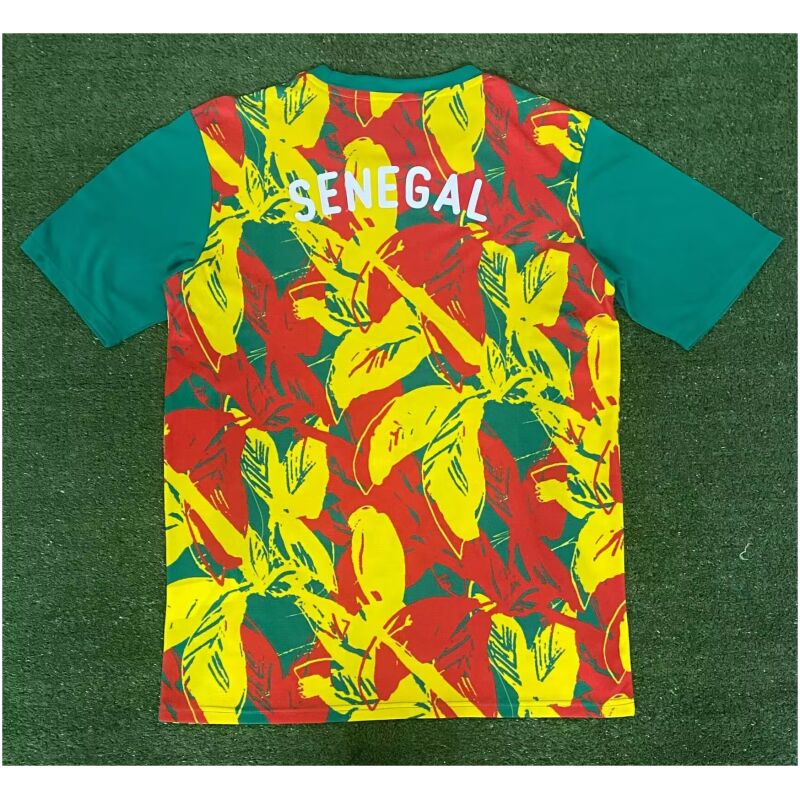 Mens Senegal Pre-Match Green Jersey 2025