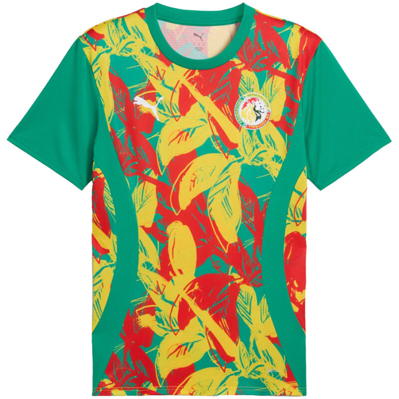 Mens Senegal Pre-Match Green Jersey 2025