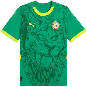 Mens Senegal Away Jersey 2025