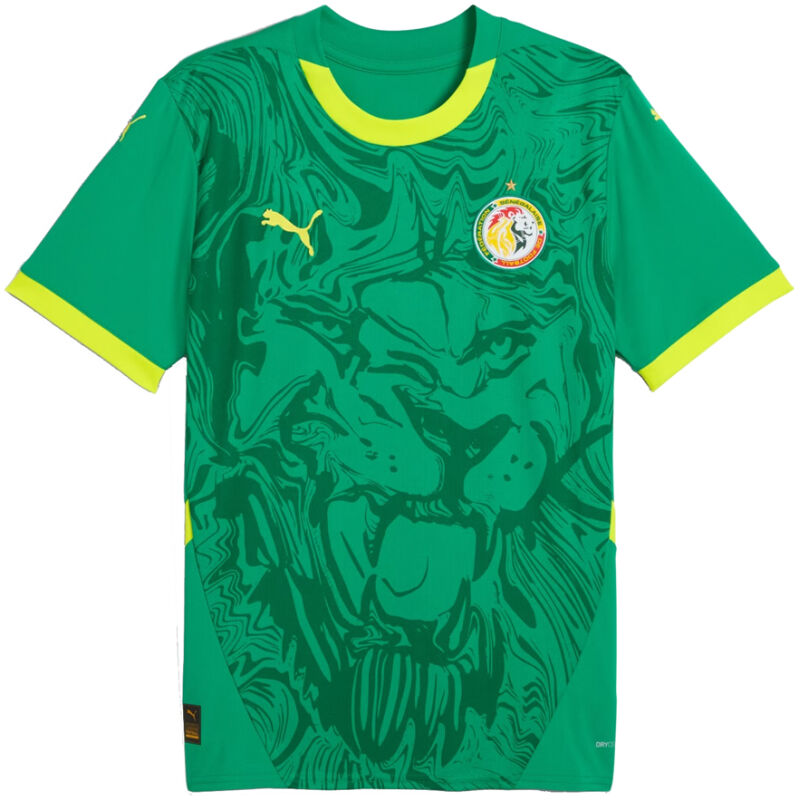 Mens Senegal Away Jersey 2025
