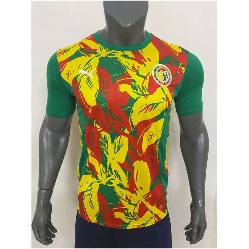 Mens Senegal Pre-Match Green Jersey 2025