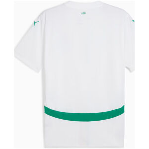 Mens Senegal Home Jersey 2025