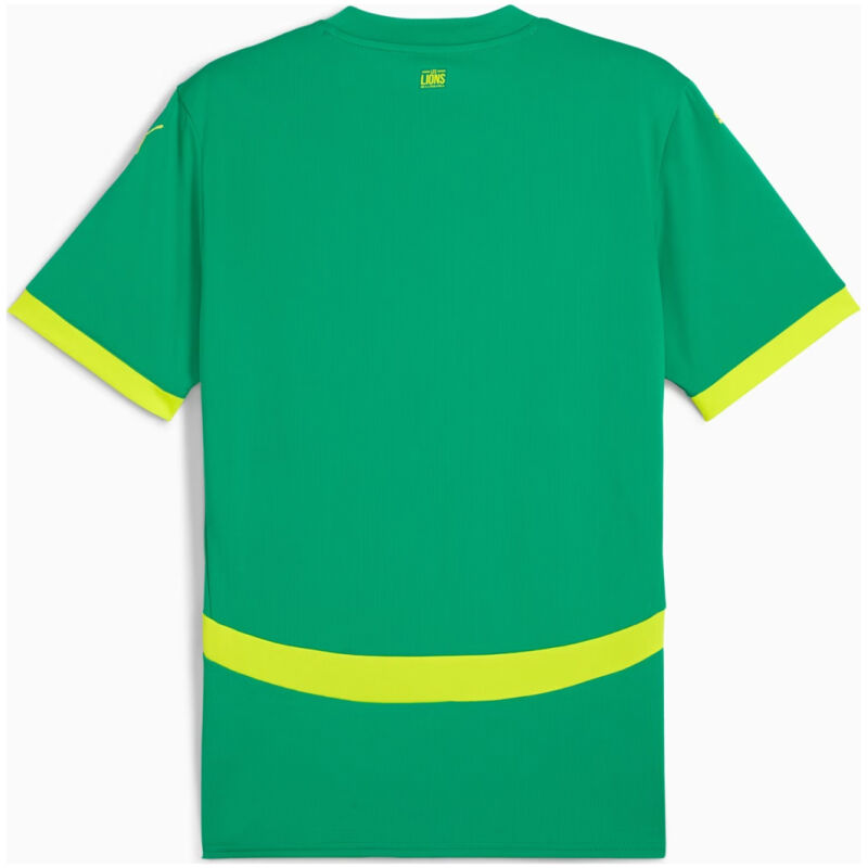 Mens Senegal Away Jersey 2025